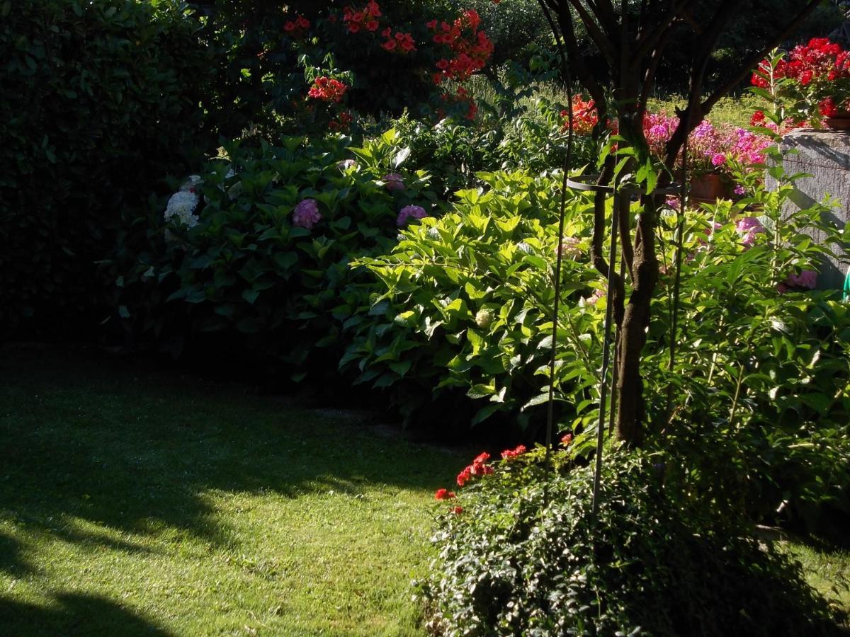 Les Hirondelles Bed & Breakfast Fenis Bagian luar foto